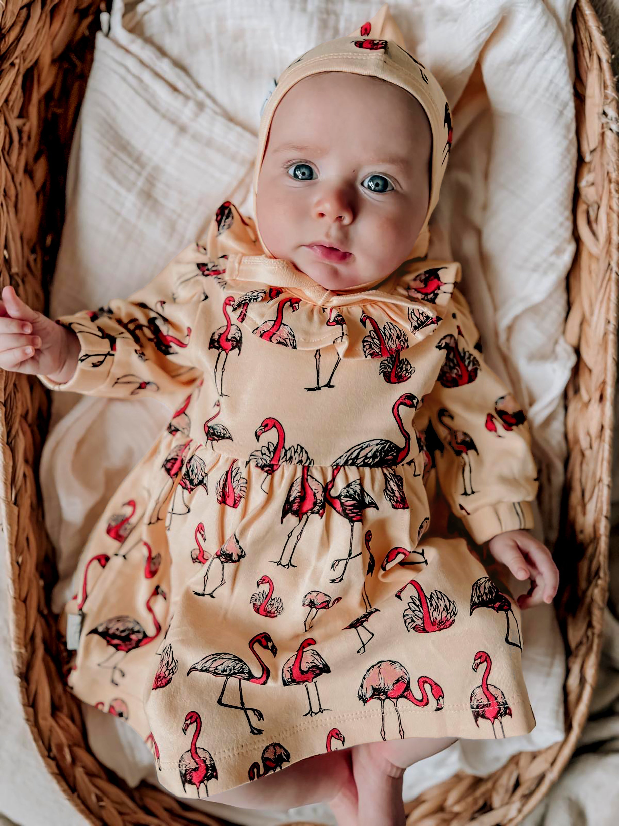 Flamingo baby dress best sale