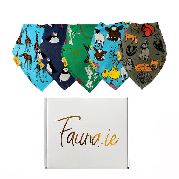 Fauna Kids X Babyboo Five Bibs Baby Gift Box - Skellig Fauna Kids