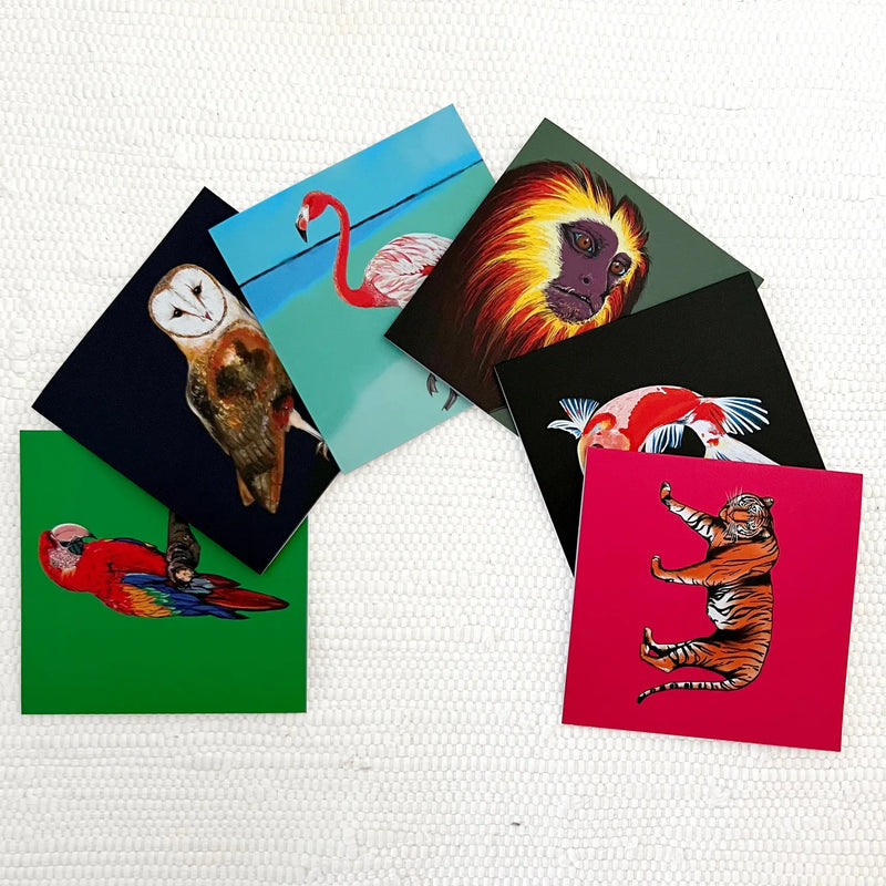Flamingo Greeting Card Fauna Kids