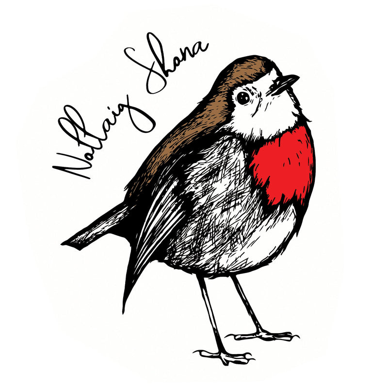 'Nollaig Shona' Robin Greeting Card Fauna Kids