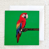 Parrot Greeting Card Fauna Kids
